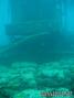 foto de buceo