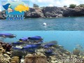 foto de buceo