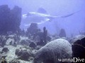 foto de buceo