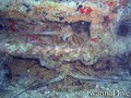 foto de buceo