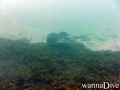 foto de buceo