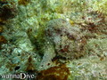 foto de buceo