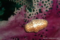 foto de buceo