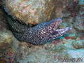 foto de buceo