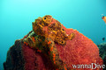 foto de buceo
