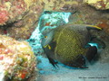 foto de buceo