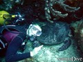 foto de buceo