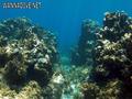 foto de buceo