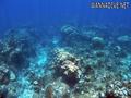 foto de buceo