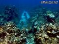 foto de buceo