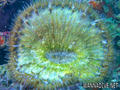 foto de buceo