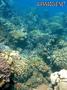 foto de buceo