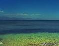 foto de buceo