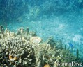 foto de buceo