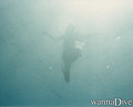 foto de buceo
