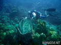 foto de buceo