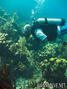 foto de buceo