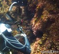 foto de buceo