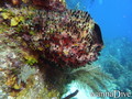 foto de buceo