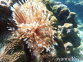 foto de buceo