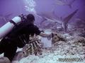 foto de buceo