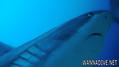 foto de buceo