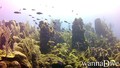 foto de buceo