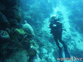 foto de buceo