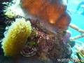 foto de buceo