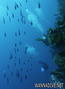 foto de buceo
