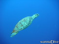 foto de buceo
