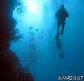 foto de buceo