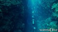 foto de buceo