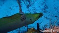 foto de buceo