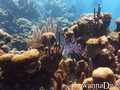 foto de buceo