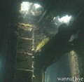foto de buceo