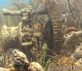 foto de buceo