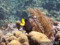 foto de buceo