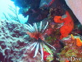 foto de buceo