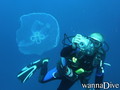 foto de buceo