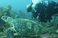 foto de buceo