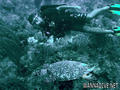 foto de buceo