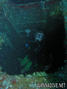 foto de buceo