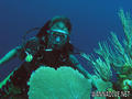 foto de buceo