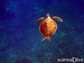 foto de buceo