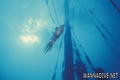foto de buceo
