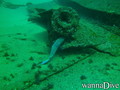 foto de buceo