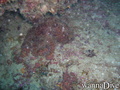 foto de buceo