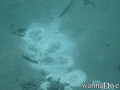 foto de buceo