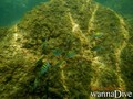 foto de buceo
